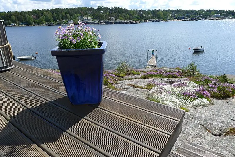 potte med sommerblomster står ytterst på en platting nede ved sjøen